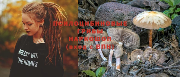 шишки Новокубанск