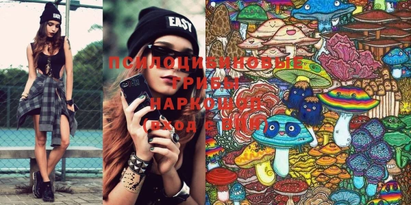 MDMA Новозыбков
