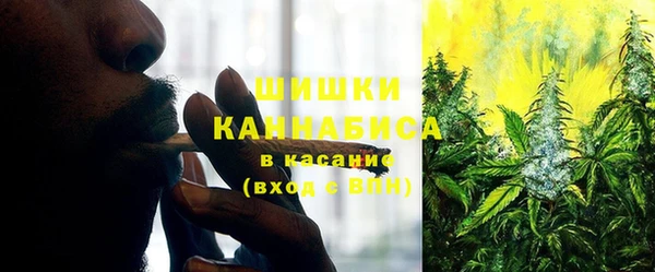 MDMA Новозыбков